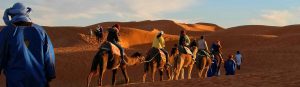 Riding Camels through a desert